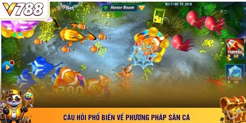 Câu hỏi phổ biến về phương pháp săn cá
