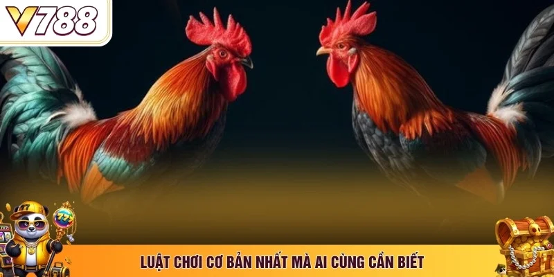 Luật chơi cơ bản nhất mà ai cùng cần biết