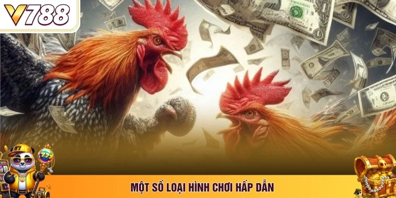 Một số loại hình hấp dẫn